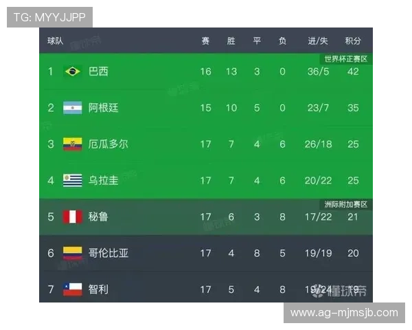 全面解析世界杯各州名额分配的具体原则与操作流程