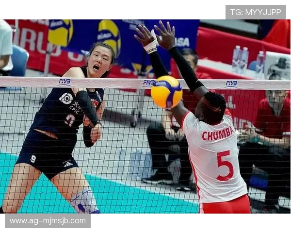 排球世界杯比赛规则详解，帮助新手快速理解比赛流程与裁判判罚标准