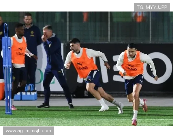 欧洲区世界杯预选赛积分榜最新排名情况，葡萄牙队的排名变化及未来展望