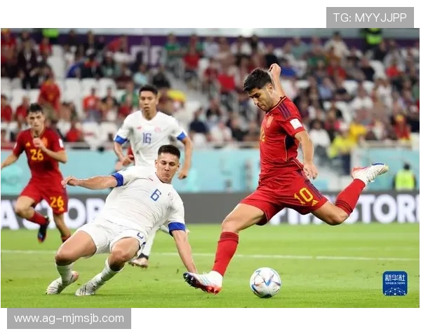 美墨加世界杯赔率预测模型与专家意见，助你把握投注先机