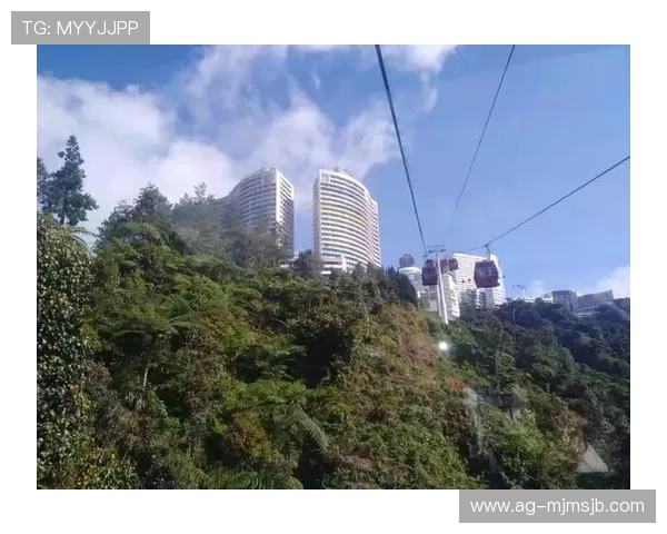 马来西亚赌场云顶网上平台最新安全指南与注册流程详解