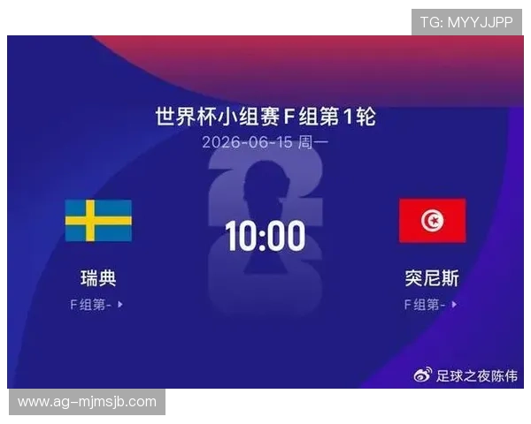 2026年瑞典VS突尼斯世界杯比赛观赛注意事项及现场安全保障策略分析